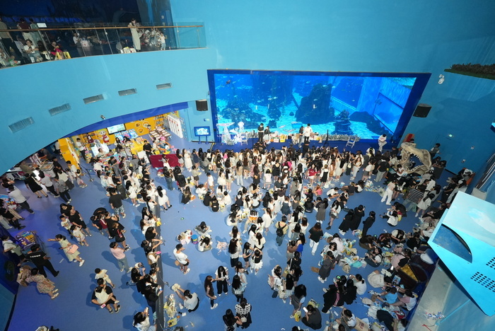 暑期接近尾声 游客“海底”觅清凉