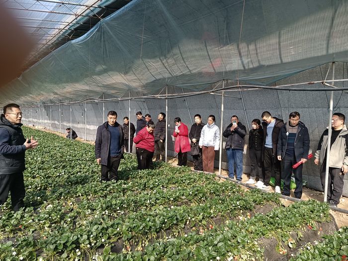 又是一度春耕备耕时  济南历城区开展多形式冬春农民大培训