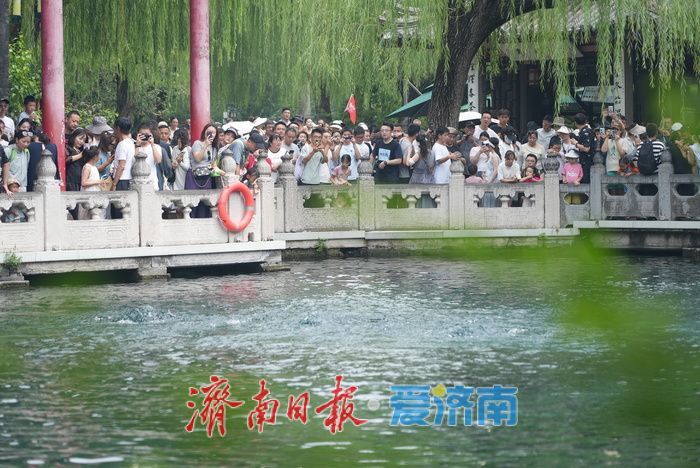 一年四季 泉在济南丨“趵突腾空”胜景在线 游客纷至沓来赏泉韵