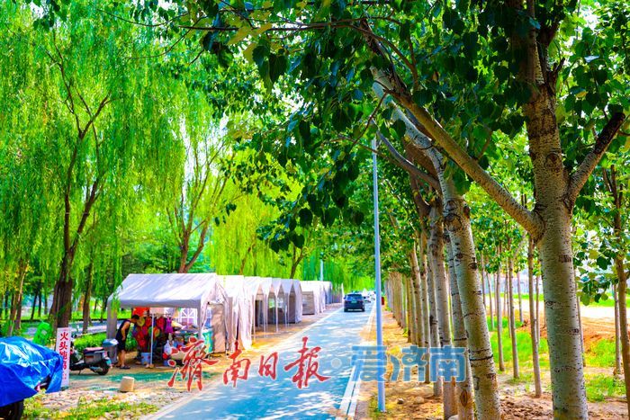 玉符河畔碧水绿树相映，绘就泉城清凉画卷