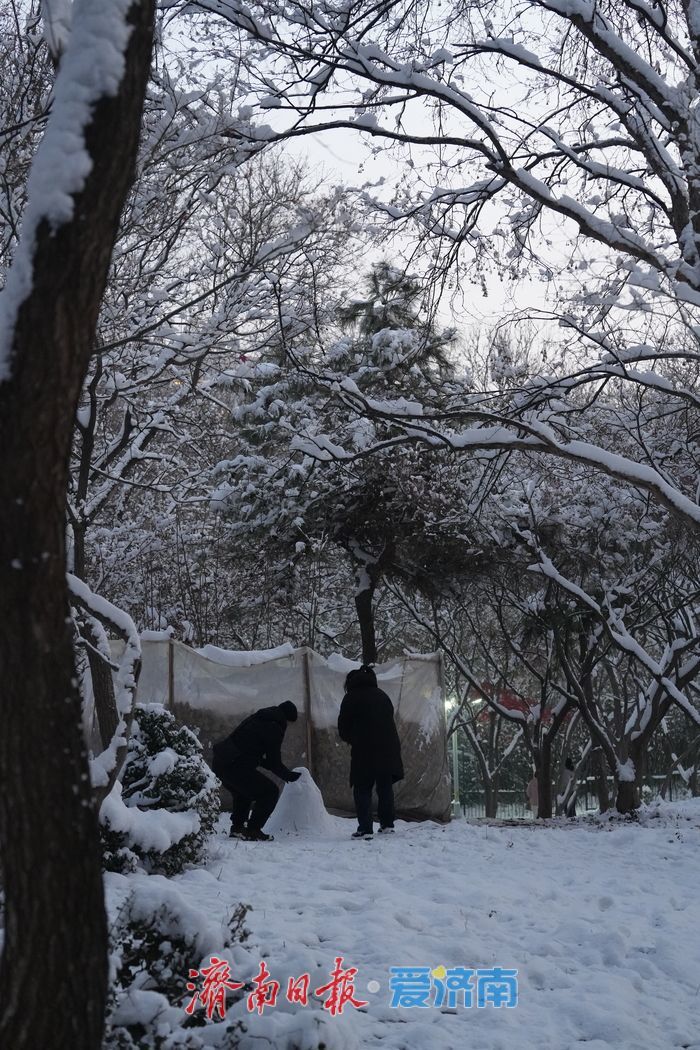 初雪勾勒“冰雪秘境” 泉城公园变身冬日热门打卡地