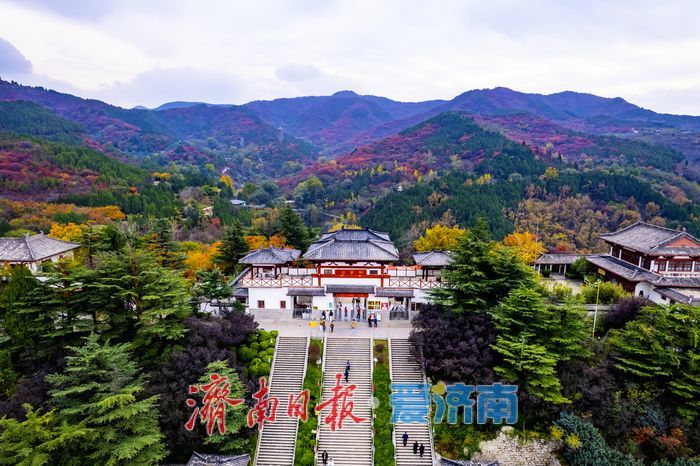 济南红叶谷氛围感拉满！沉浸式感受“万山红遍”的限定浪漫