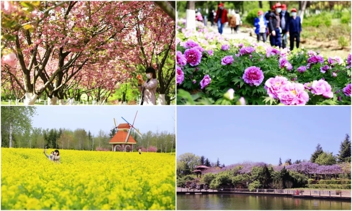 一年四季 泉在济南｜济南植物园花仙子游园会本周末精彩继续