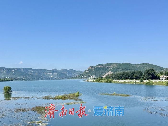 一年四季 泉在济南丨初秋卧虎山水库：山水相映成画 秋韵惹人醉