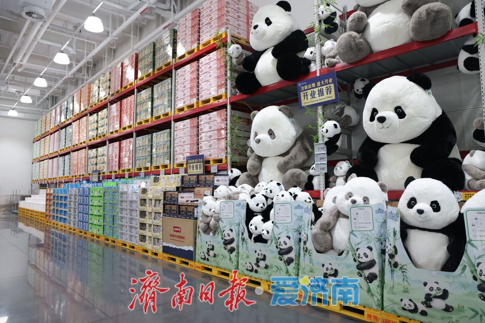 抢先探秘内场！看济南山姆内部筹备最新进展