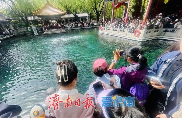 一年四季 泉在济南丨清明假期第二天，趵突泉人气爆棚 三股水景点前游客接踵摩肩