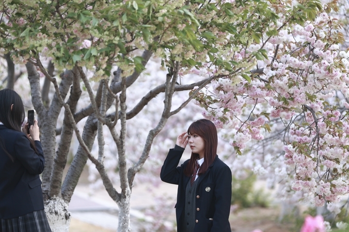 赏花打卡，享受春暖花开