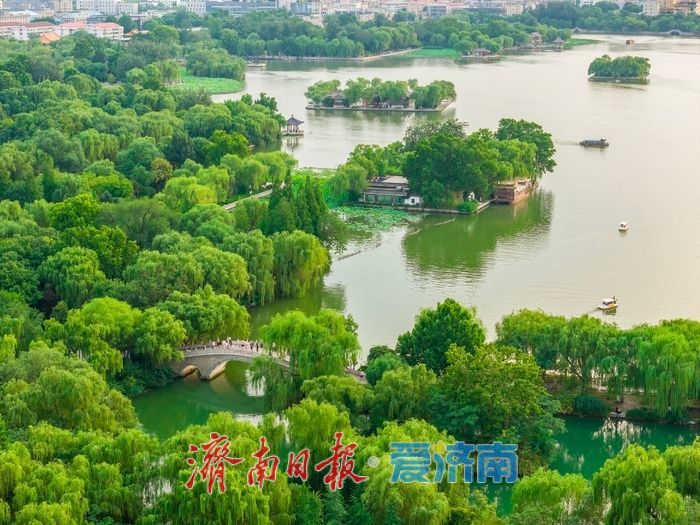 暮色熔金，大明湖铺开夏日画卷