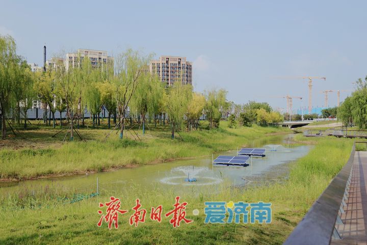 昔日河沟变身生态廊道