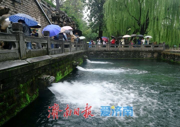 泉水水位屡创新高，黑虎泉版“清泉石上流”上线引人注目