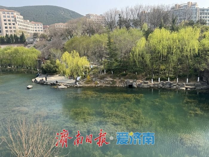 历阳湖春景如画 碧水垂柳醉泉城