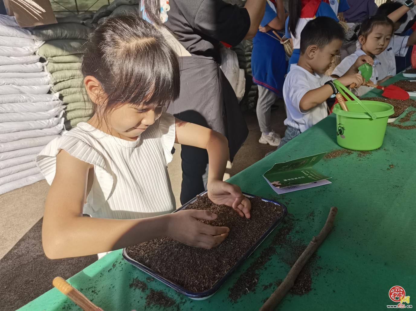 落木化春 绿妆泉城 济南园林绿化废弃物演绎环保创意大变身