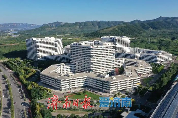 《哪吒2》石矶娘娘爆火！出自长清这家公司