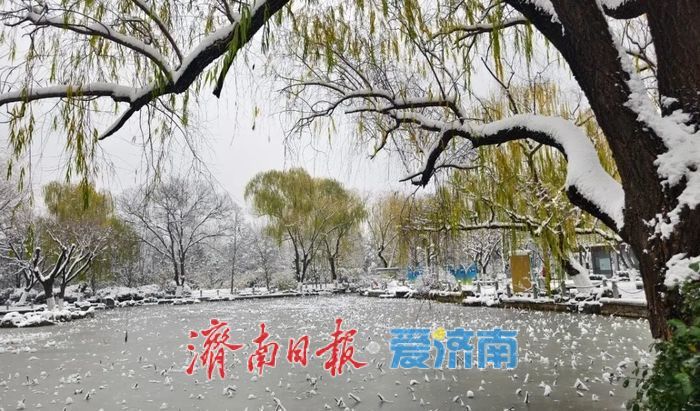 雪漫济南府 九景入画来