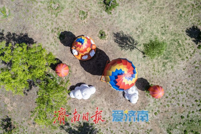 昔日老厂区变身城市绿肺，济钢中央森林公园春意正浓