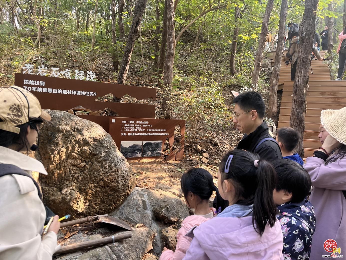 自然教育｜济南园·林惠民行“小小观察员森林探秘”科普研学活动走进泉城山林自然观察径