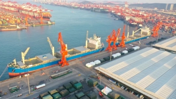 昼夜吞吐量52698吨刷新世界纪录！山东港口青岛港：全球最大纸浆进口港再展“中国效率”