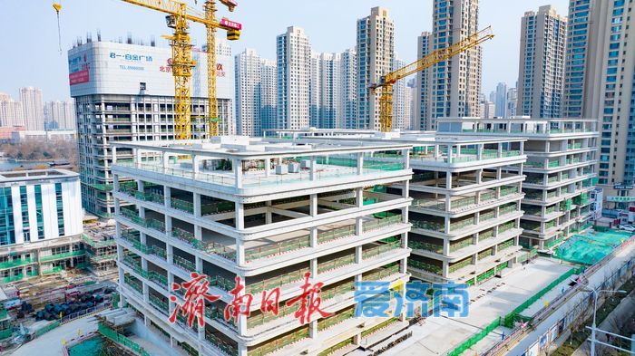 项目强省会｜北城崛起新核心：白金广场商务集群雏形已现