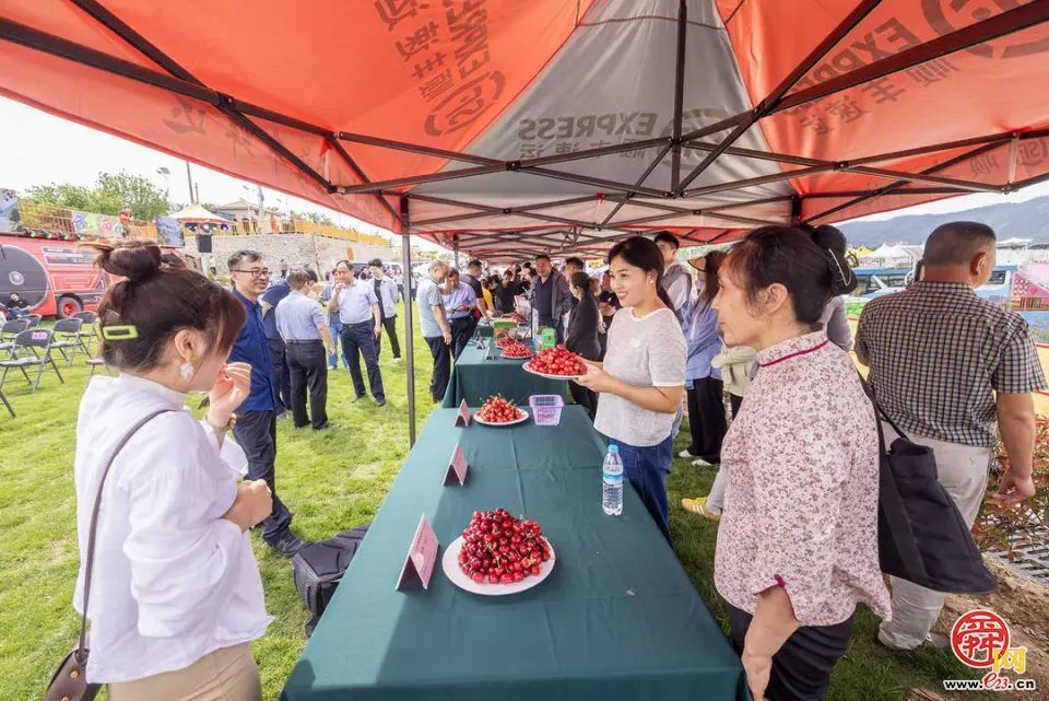 樱桃退场，甜蜜不散场！ “泉果飘香”迎来“盛夏的果实”