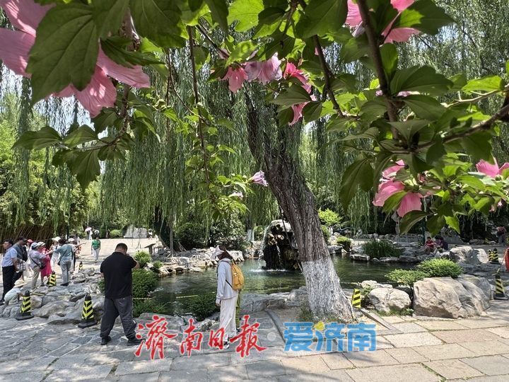 趵突泉水位稳守29米线 月牙飞瀑持续在线喷势放缓