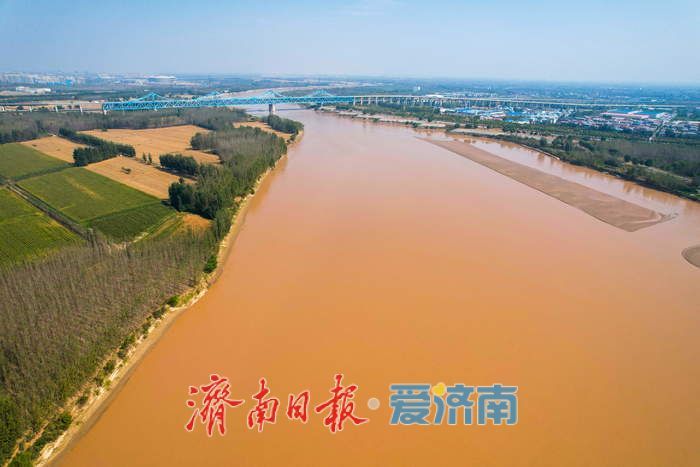 一年四季 泉在济南丨大河铺画卷 济南黄河秋韵盎然