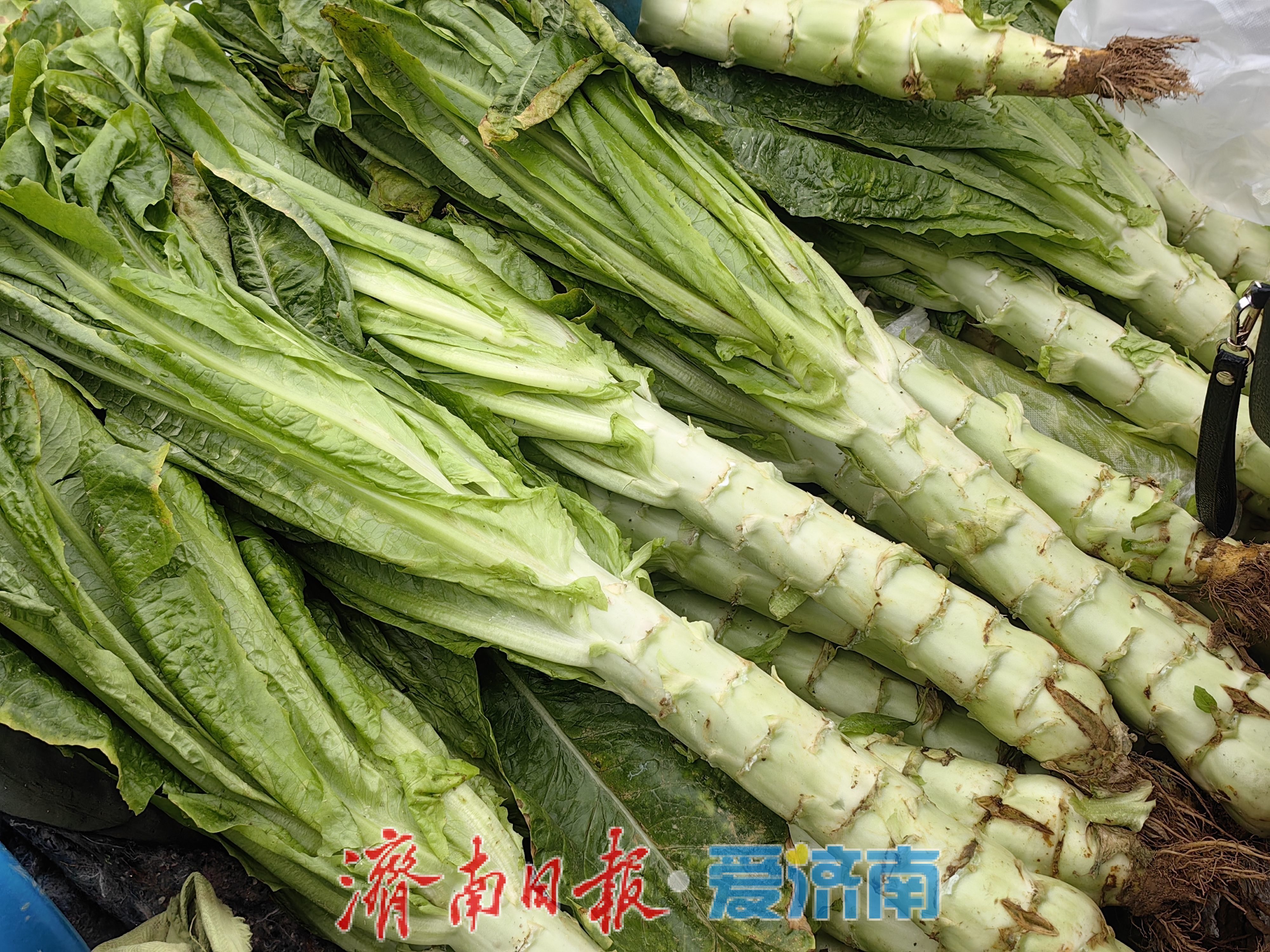 腊月里的烟火气：年味渐浓赶大集