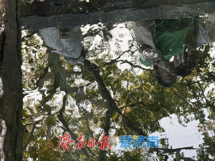 一年四季 泉在济南丨金线泉再现“金线游动” 秋日泉景引客赏