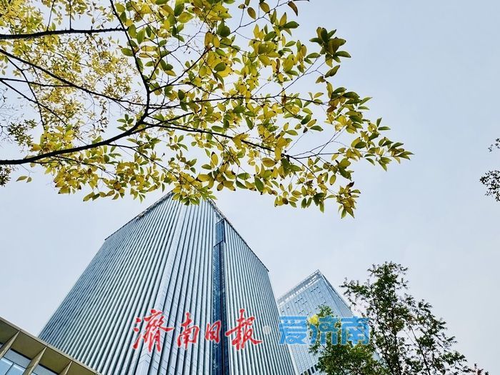 秋染绸带公园 城市绿廊绘就秋日画卷