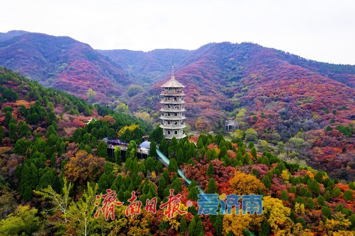 济南红叶谷氛围感拉满！沉浸式感受“万山红遍”的限定浪漫