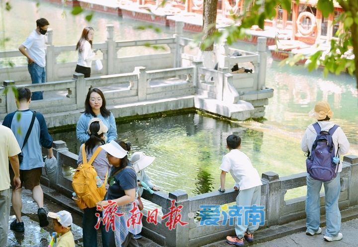 “五一”假期最后一天迎“立夏” 济南护城河畔变“天然空调房”