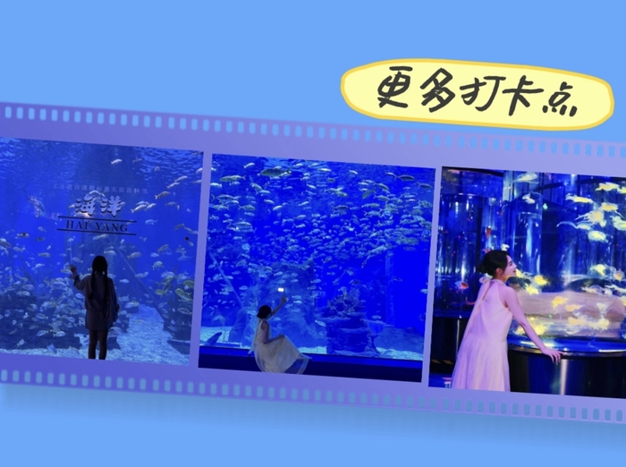 济南“胖人鱼”登上央视《开讲啦》，与撒贝宁互动