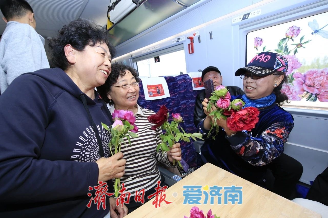 济南出发，直达菏泽！“牡丹号”赏花环线列车4月12日启程