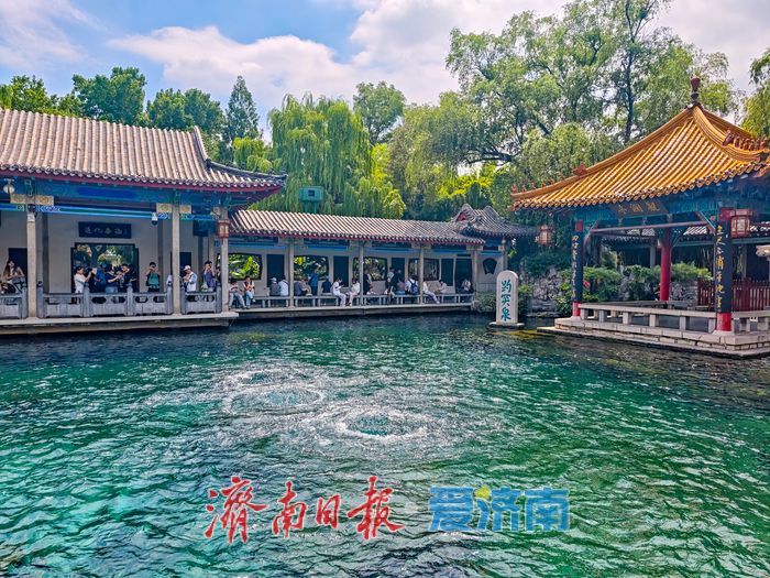 一年四季 泉在济南丨高位稳驻泉韵盎然 趵突泉29.21米水位持续在线引客打卡