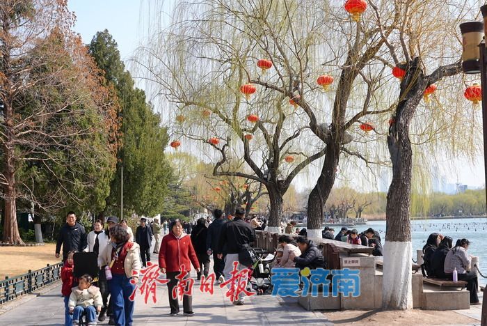 一年四季 泉在济南丨大明湖春色满园 游人踏青享春光