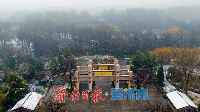 节后春雪添雅韵 济南森林公园解锁冬春交融新景致