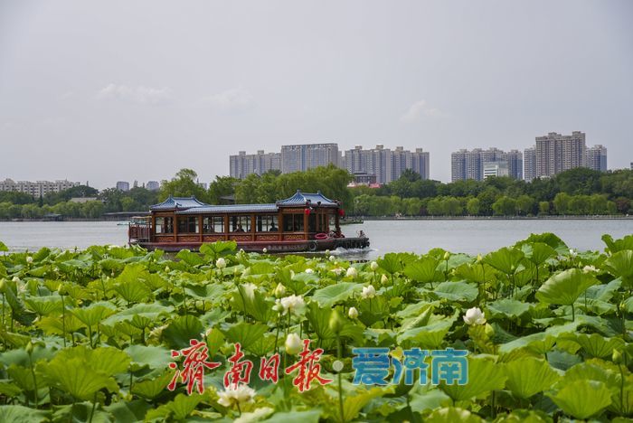 一年四季 泉在济南 