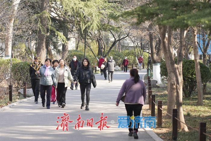 济南百花公园玉兰“含苞待放”