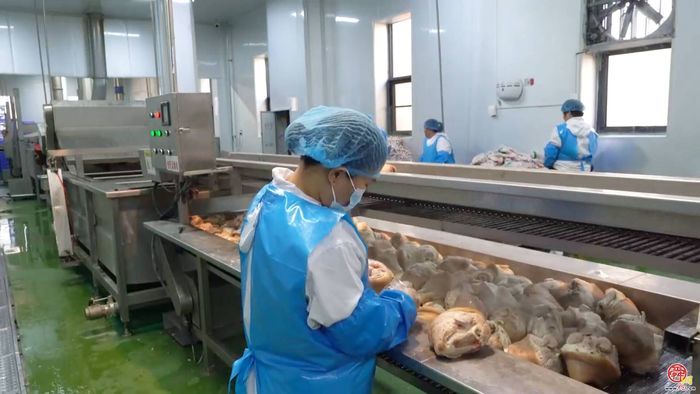【访企记】鲁味斋：老汤熬出新滋味，解码中华老字号的“青春修炼手册”
