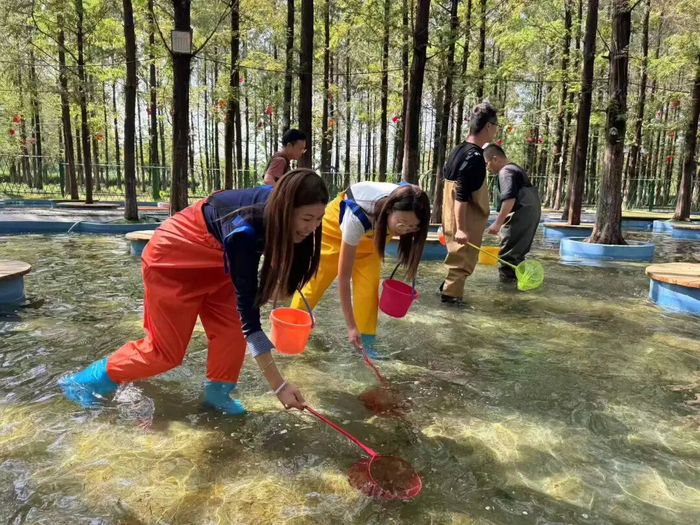 挖红薯、喂萌宠、抓泥鳅，国庆假期在济南鲜花港来场别样“金秋游园会”