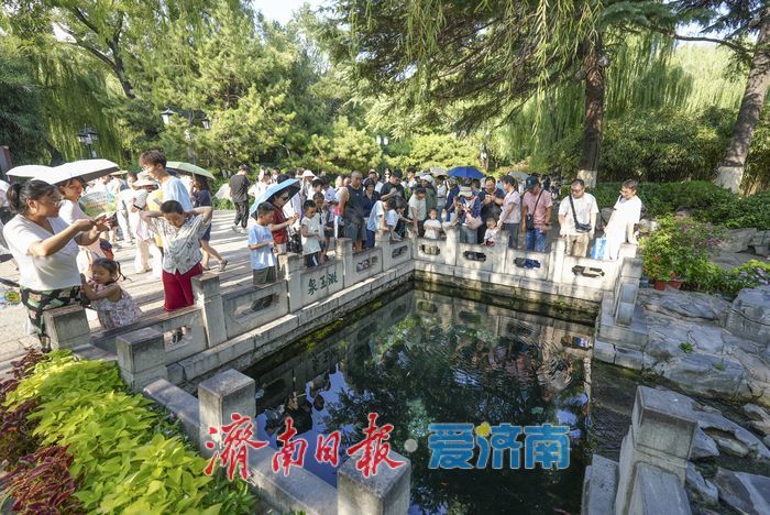 一年四季 泉在济南丨趵突泉“水涌若轮”引客来
