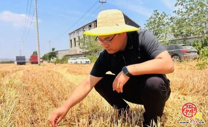章丘多元路径解锁乡村“致富密码”