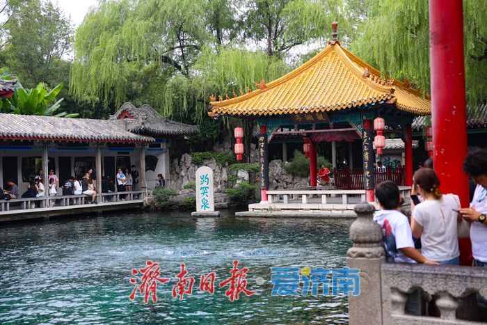 一年四季 泉在济南丨暑期尾声，趵突泉公园游人如织热度不减