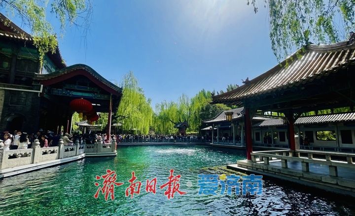 一年四季 泉在济南丨谷雨时节春将尽 趵突泉畔客流涌