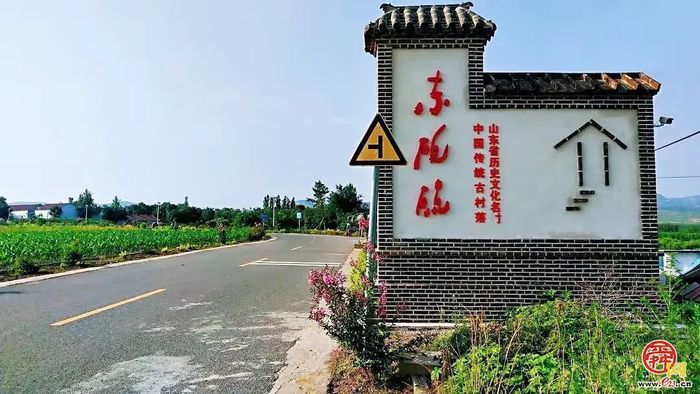 官庄街道：一名80后“兵支书”的“美丽乡愁”