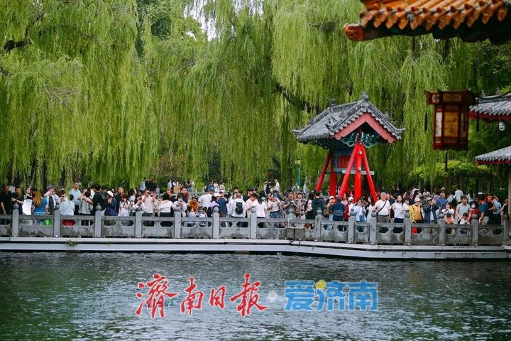 29.15米！水位连涨，“趵突腾空”活力十足