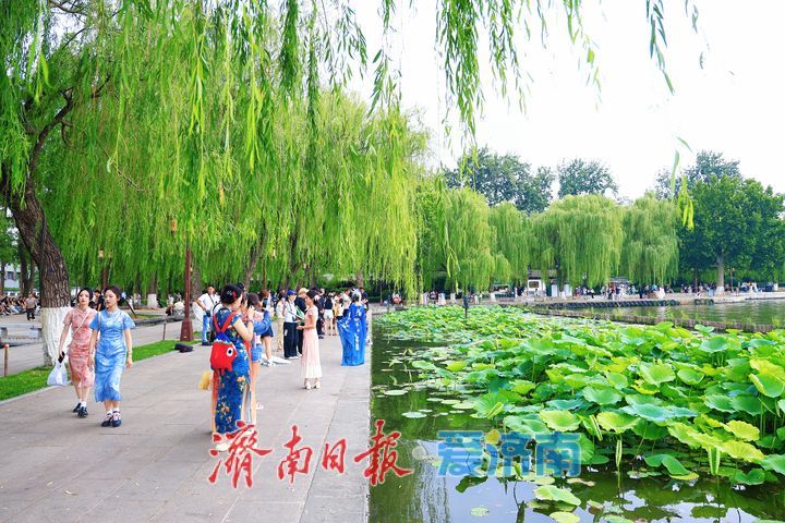 漫步湖畔赏美景 欢度端午享闲暇