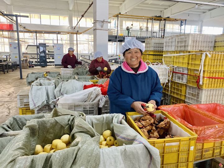 “云话山东”走进烟台