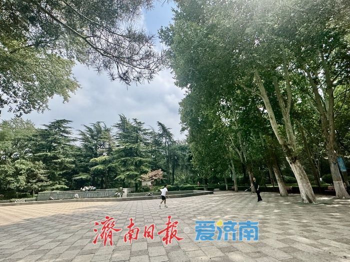 一年四季 泉在济南丨百花公园绿树成荫景如画 市民休闲好去处