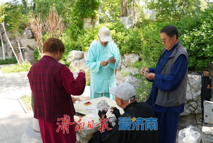 一年四季 泉在济南丨绿荫泉水伴笑语，初夏休闲好时光