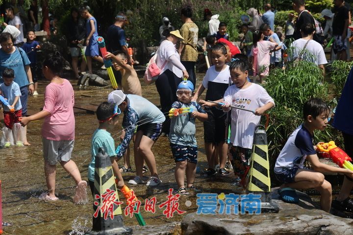 一年四季 泉在济南｜高温酷暑难耐 五龙潭泉水戏水觅清凉